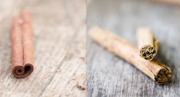 cassia vs real cinnamon
