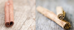 cassia vs real cinnamon