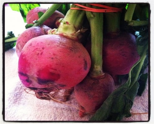 Farmer's market radishes.