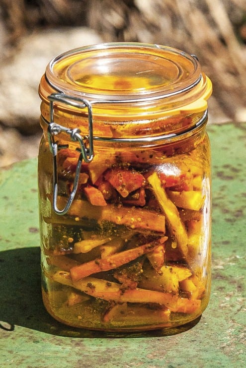 Solar-Powered Indian Pickled Carrots