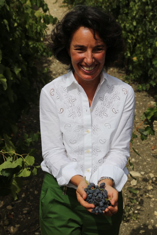 La Vendemmia: Defining Italian Wine Vintages