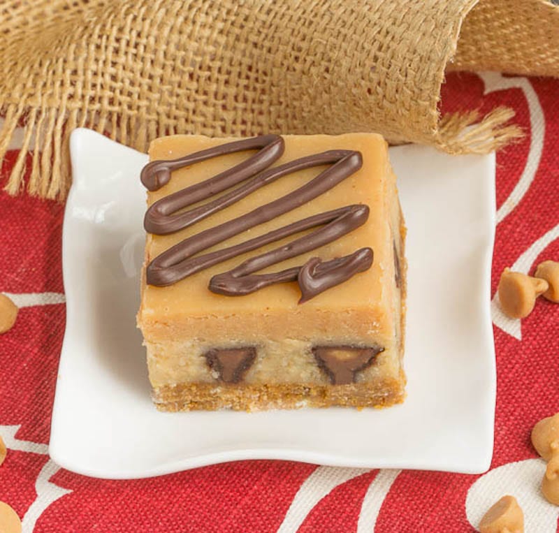 Peanut-Butter-Cheesecake-Bars-3