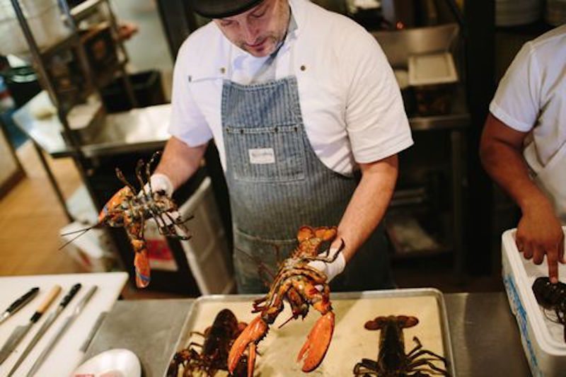 steve-lobster-courtesy-mary-costa_480x320