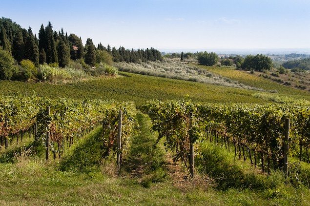 Top Twelve Undiscovered Wines of Northeastern Italy