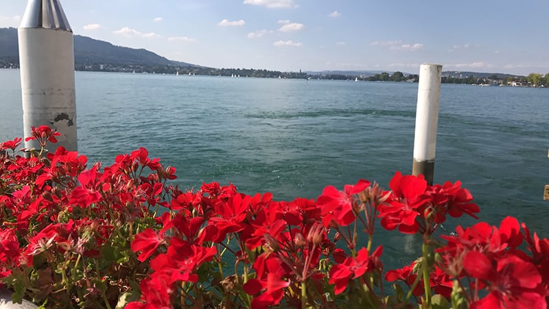 Lake Views in the Old Town, Zurich