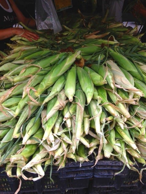 Handmade Neapolitan Lucky Corn