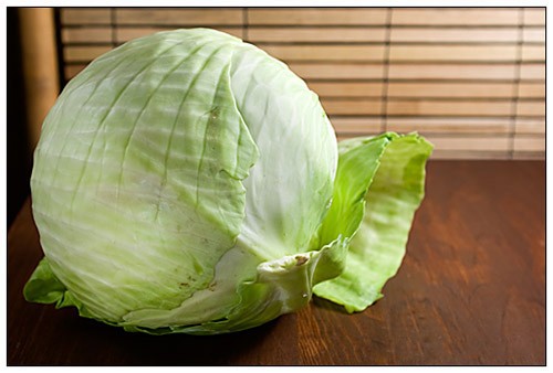White Cabbage for Cabbage Rolls