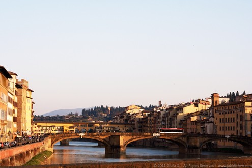 Florence landscape