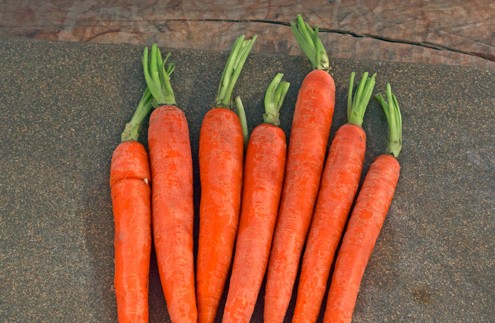 Raw Carrots Pre Scrub