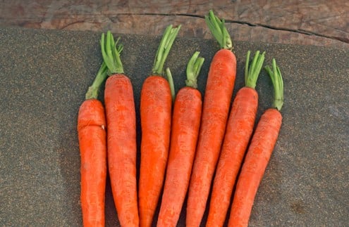 Raw Carrots Pre Scrub