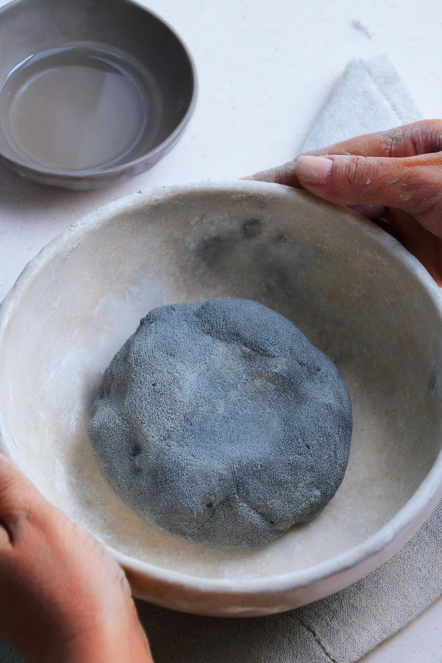 Blue Corn Tortillas Recipe
