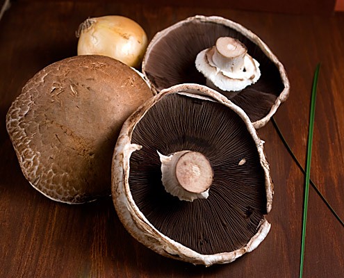 Portabello Mushrooms 