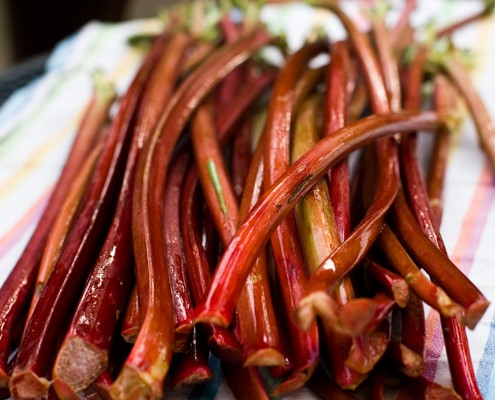 Fresh Rhubarb