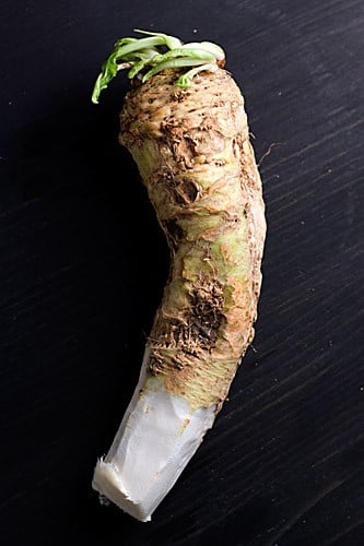 Fresh Horseradish Root