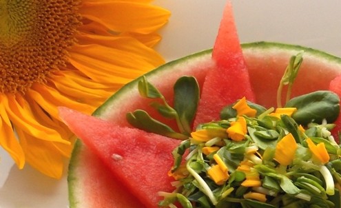 Organic Greens and Watermelon Salad