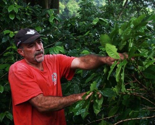 Fair Trade Coffee Tour