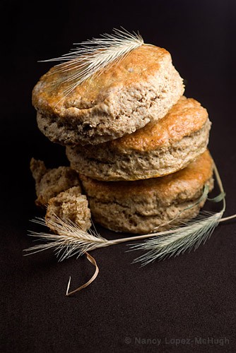 Whole Wheat Biscuits