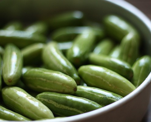 Ivy Gourds