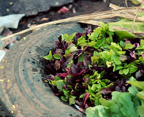 Santhe – Local Farmers Market in a small town in India