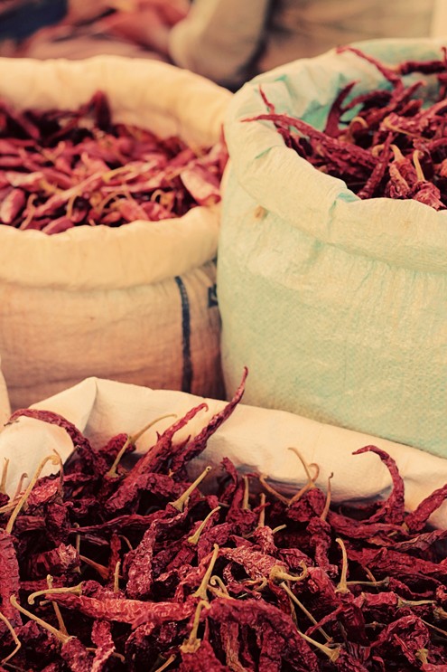 Different varieties of dry red chilies