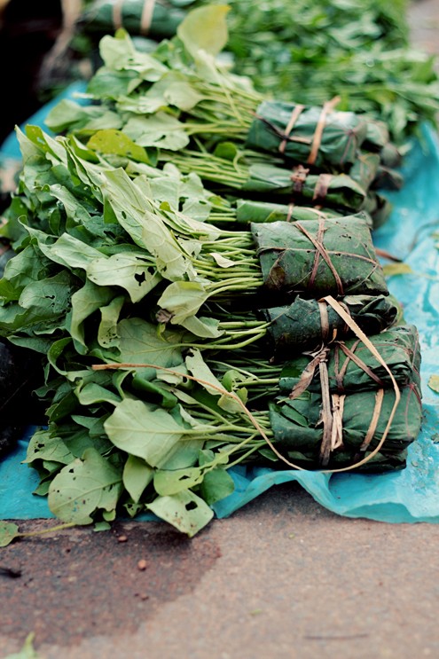 Vegetable plants being sold 