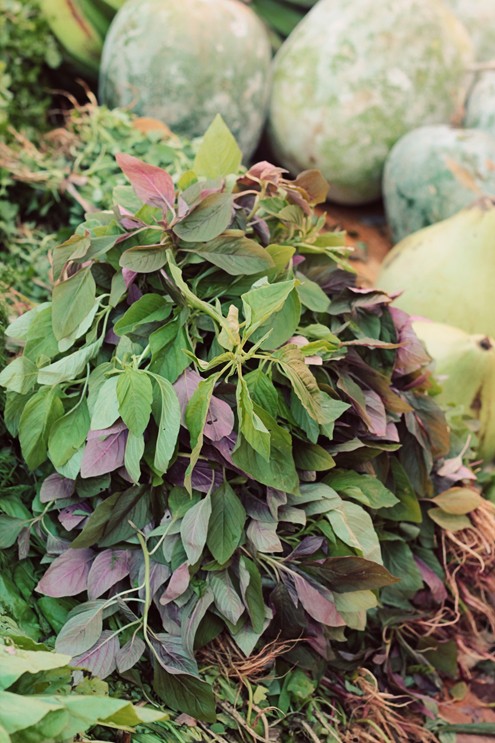 fresh amaranth leaves