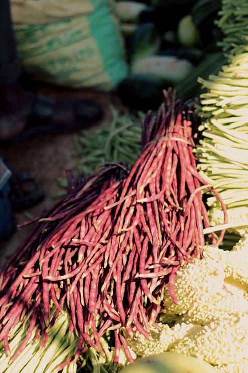 Purple Long Beans