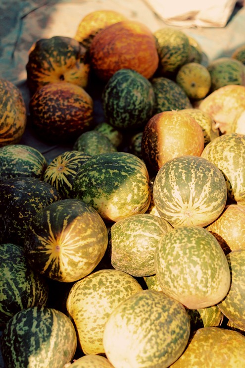 Colourful Mangalore Cucumbers