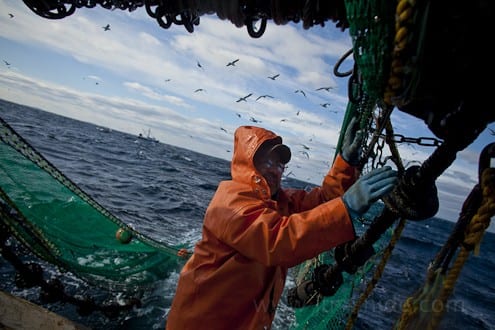 Jimmy bringing in the nets