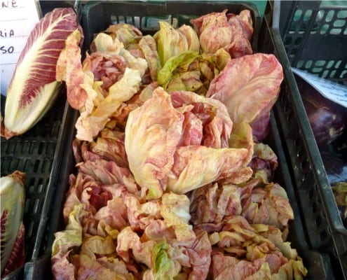 Different types of radicchio