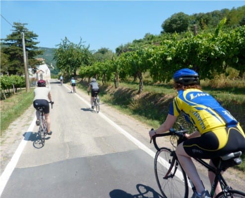Cycling in Colli Berici