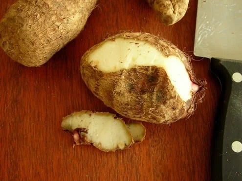 Peeling a taro root.