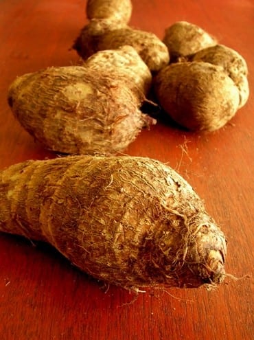 Taro roots 