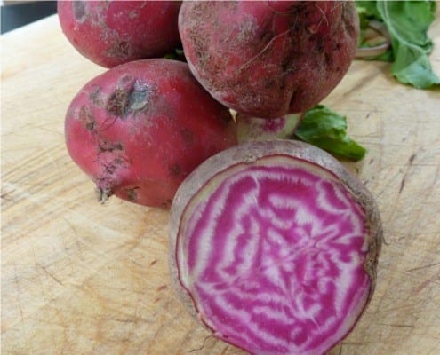 Whole Chioggia Beets - Italiaoutdoorsfoodandwine bike tours italy