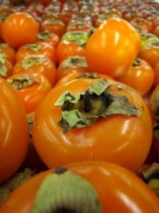 Persimmon "rama forte" in the market