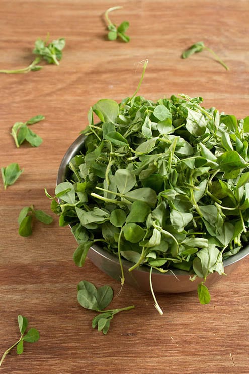 fresh-fenugreek-leaves