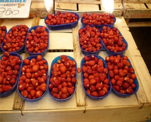 wild strawberries cycling dolomites italiaoutdoorsfoodandwine