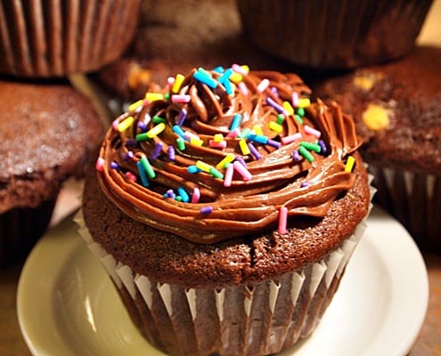 Double Chocolate Muffins - Muffin Recipe