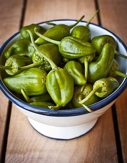 Pimientos Padron