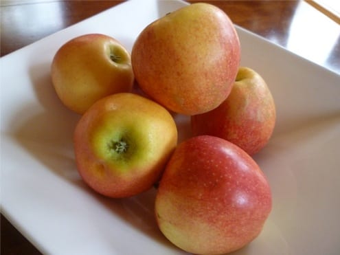 apples cycling holidays italy italiaoutdoorsfoodandwine