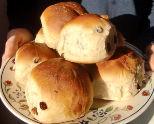 Dutch Currant Buns