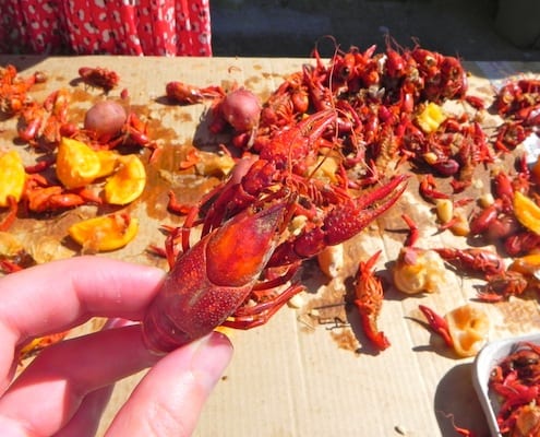 DT Crawfish Boil – salty-traditions