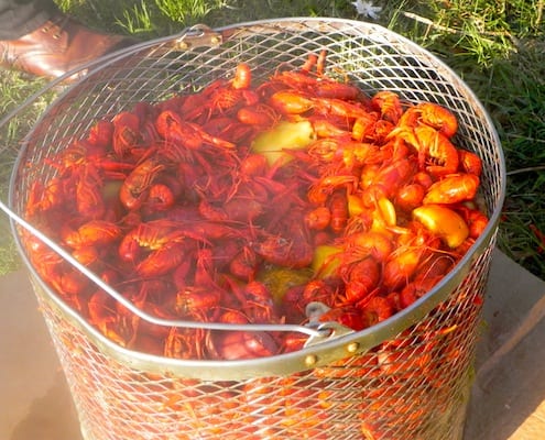 A Bucket That Boils Seafood? - Louisiana Crawfish Co