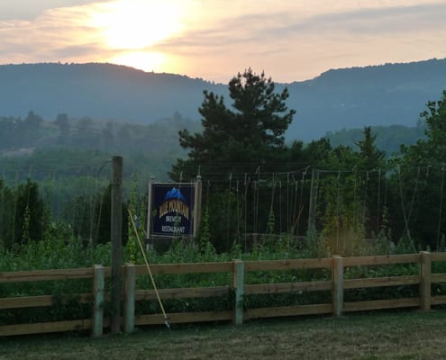 Blue Mountain Brewery - Outstanding Views, Food and Brews