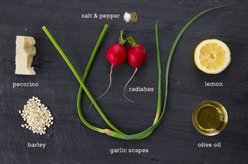 Barley Salad with Radishes and Garlic Scapes