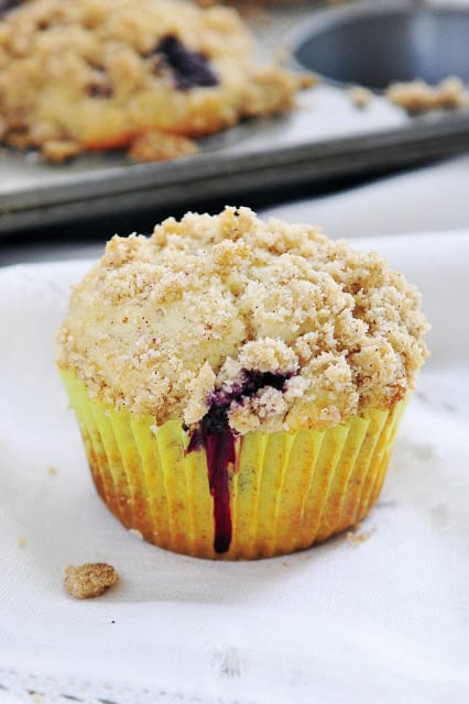 Gluten Free Blueberry Streusel Muffins