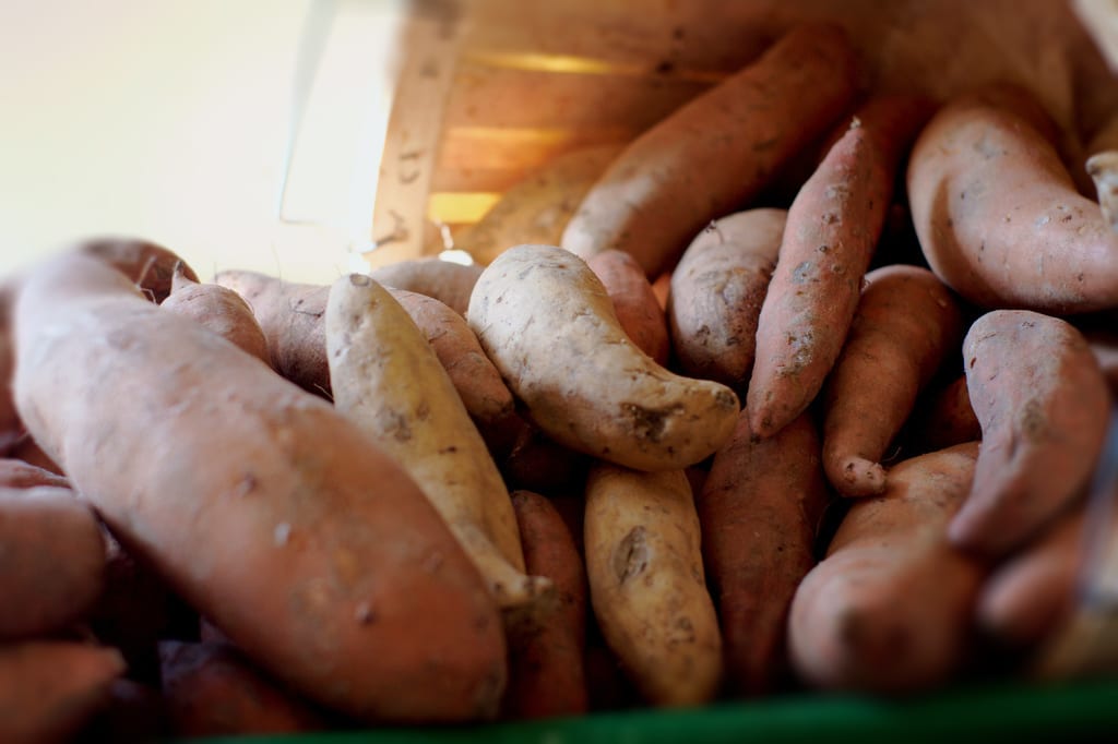 Sweet Potato Rolls