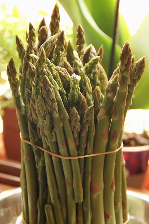 Loving Asparagus - 4 Ways