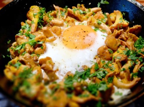 Fresh Girolles, Burford Brown Egg, Parsley, Garlic and Lemon