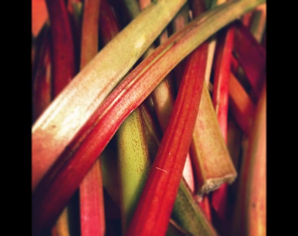 Old Fashioned Rhubarb Cake